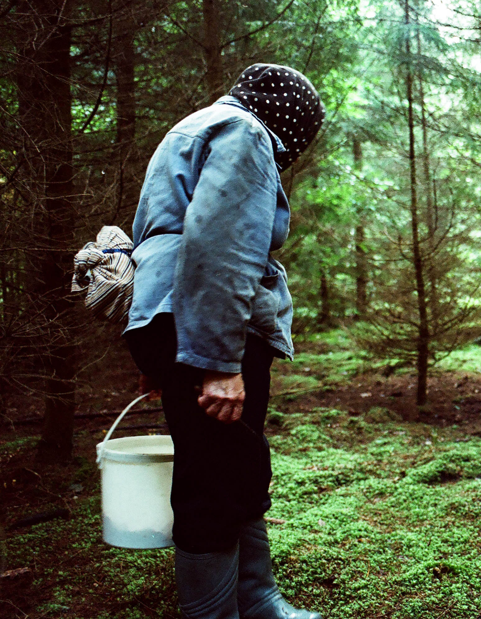 Analogue Photo. In the forest. Old woman carries bucket. 